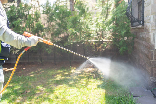 Best Bird Control  in Comstock Park, MI